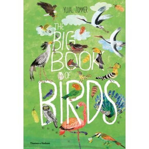The Big Book of Birds -- Yuval Zommer - Picture 3 of 3
